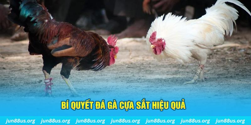 79 king nổ hũ may mắn