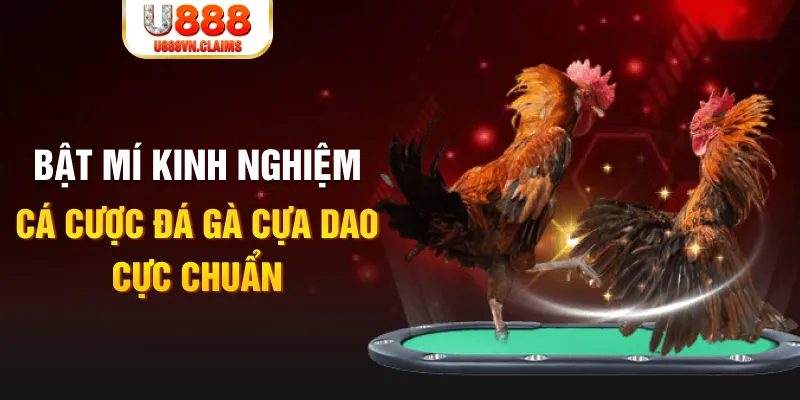 79 king casino hồ tràm có cho người việt vào không