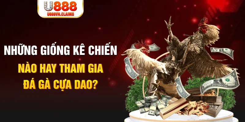 79 king BG Trực Tuyến