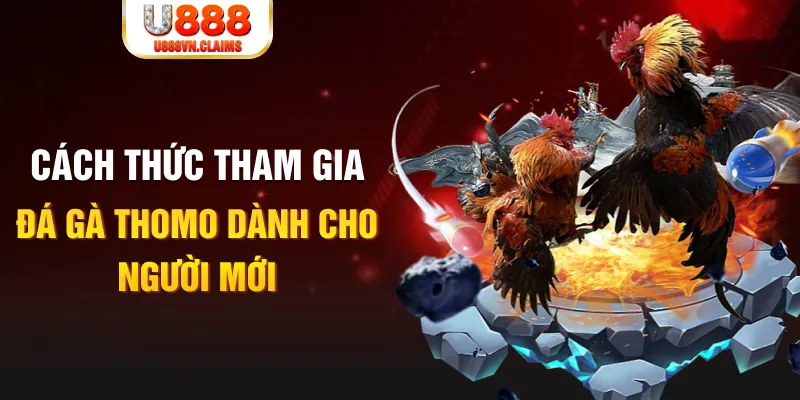 79 king truc tiep da ga