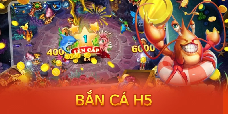 79 king what is a casino comp program