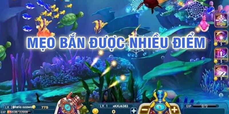 79 king baccarat có lừa đảo không