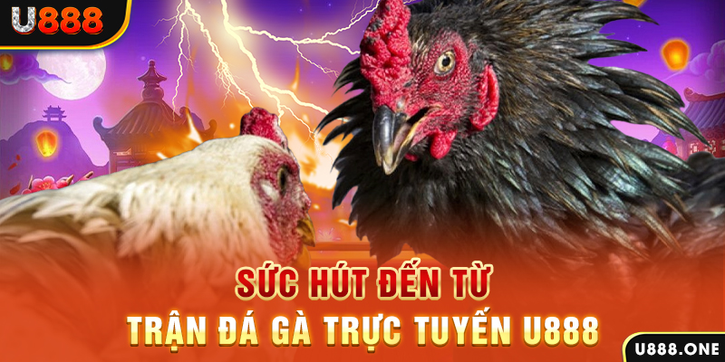 79 king đăng nhập poker 2024