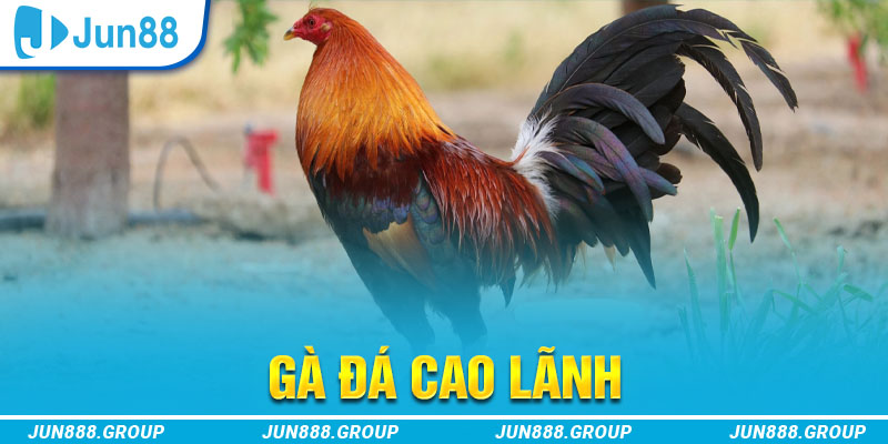 79 king tai game vua bai ve may tinh