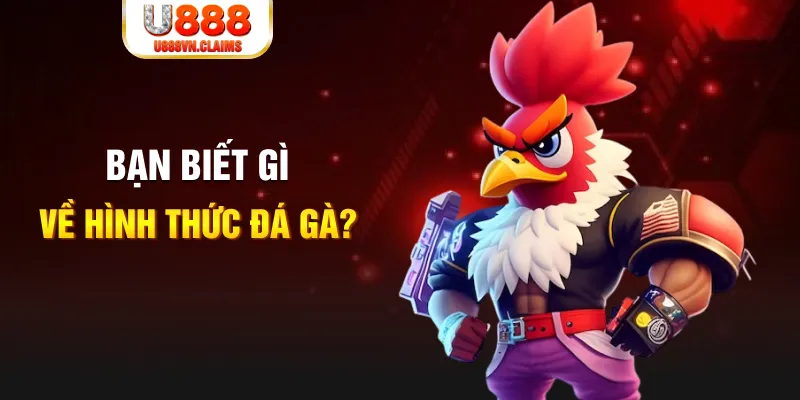 79 king đăng nhập liêng tặng tiền