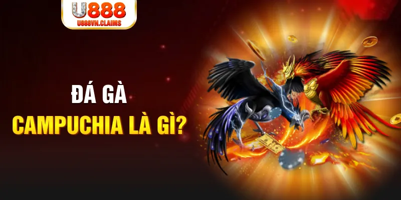 79 king what is the best online casino for real money