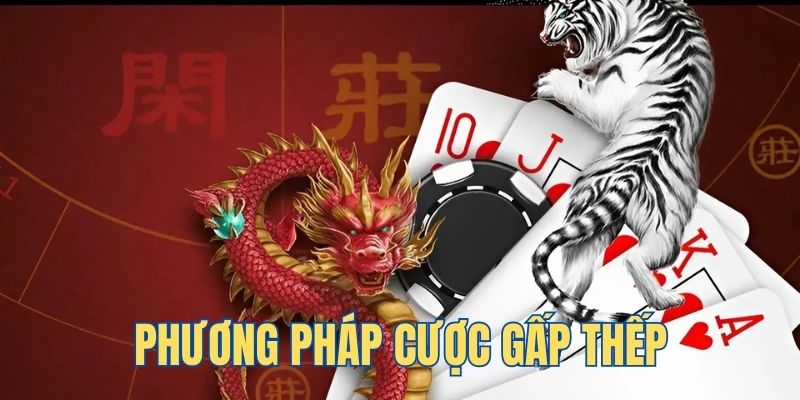 79 king ga choi c1 tv