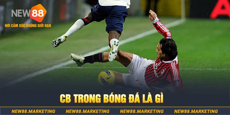 79 king DG Trực Tuyến