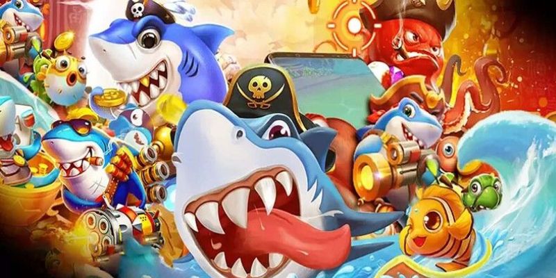 79 king xổ số miền bắc 90 ngày