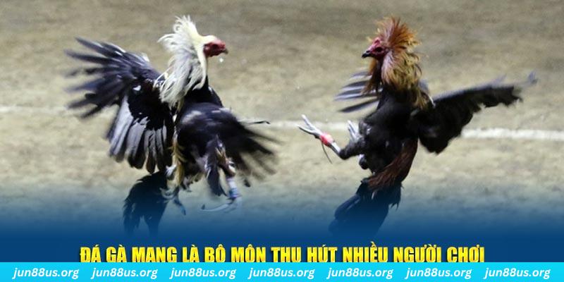 79 king đăng nhập sòng bạc số 1