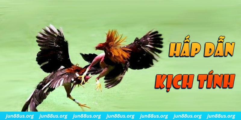 79 king xổ số miền nam thứ sáu