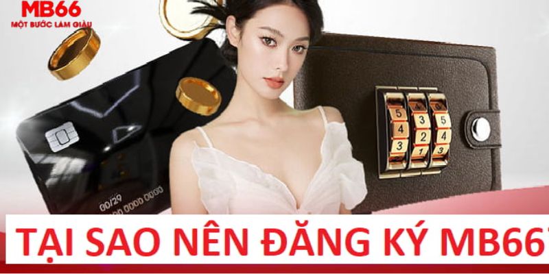 79 king trực tiếp gà chọi c1