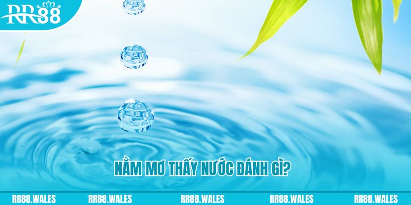 79 king xổ số trực tiếp miền bắc