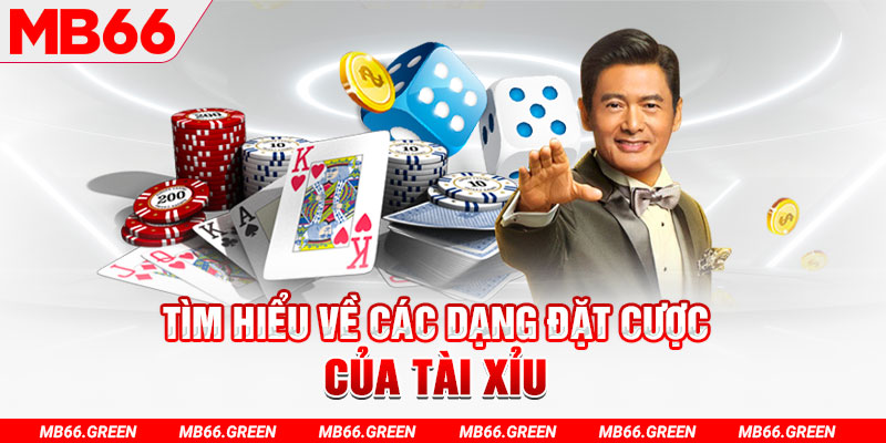79 king what is a casino loyalty program