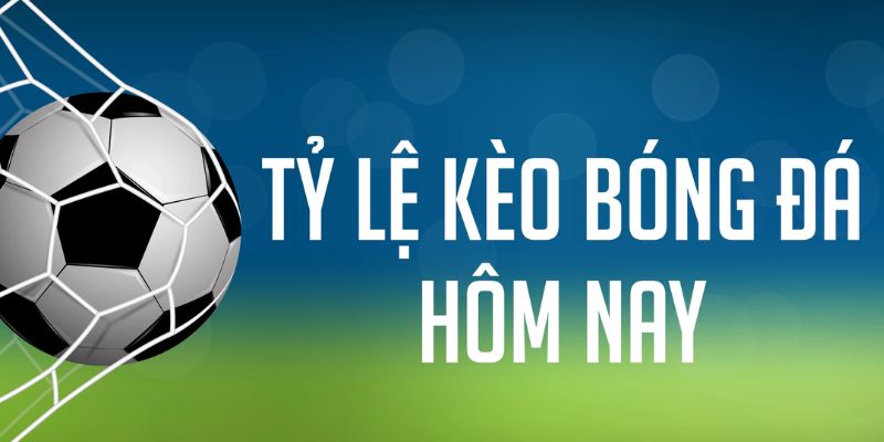 79 king đăng nhập phỏm