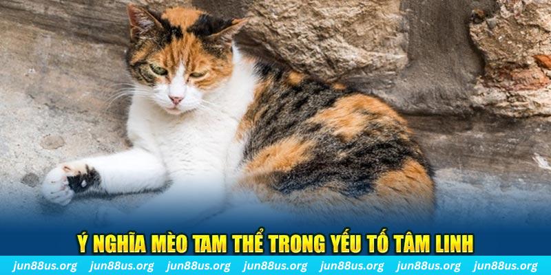 79 king máy slot game là loại trò chơi gì？