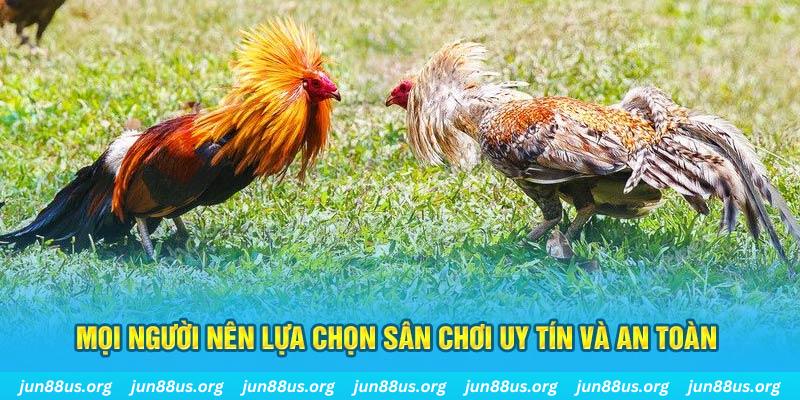 79 king đăng nhập poker 2025