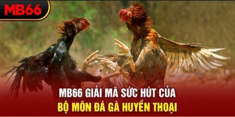 79 king xổ số đài bắc