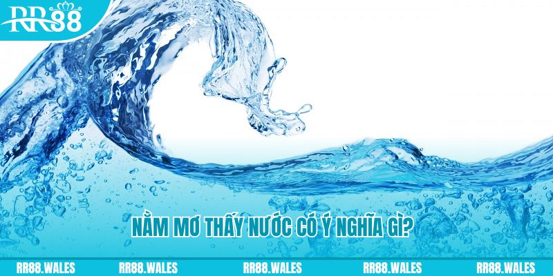 79 king nổ hũ là game gì
