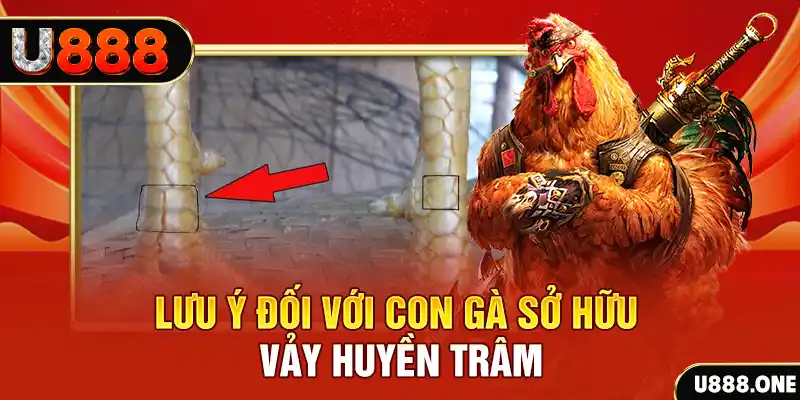 tải game đánh bài tiến lên miền nam về máy tính
