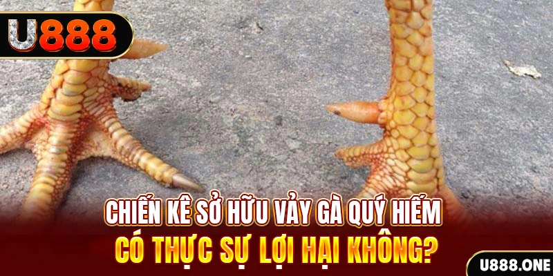 79 king xổ số miền trung