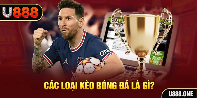 79 king Tôm Cua Cá 2