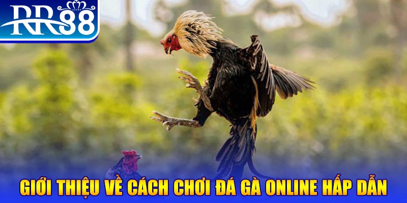 79 king bắn cá h5 là gì