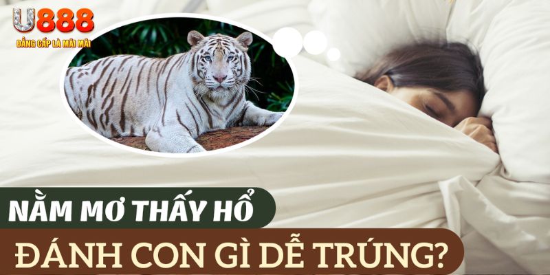 79 king nohu .mx nổ hủ là gì