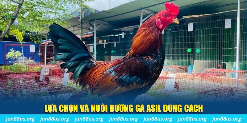 79 king nổ hũ thần tài là gì