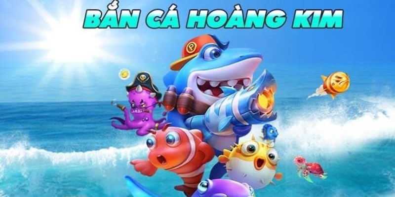 79 king IM Thể Th