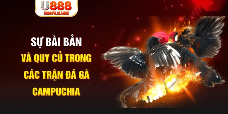 79 king game xếp bài trên máy tính