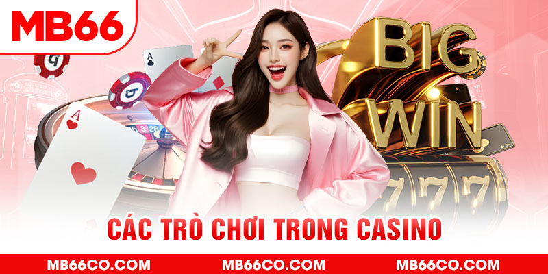 79 king chổi lông gà