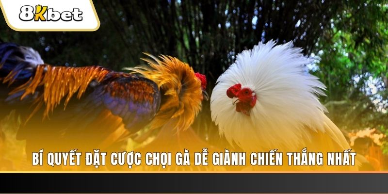 79 king nổ hũ chơi như thế nào