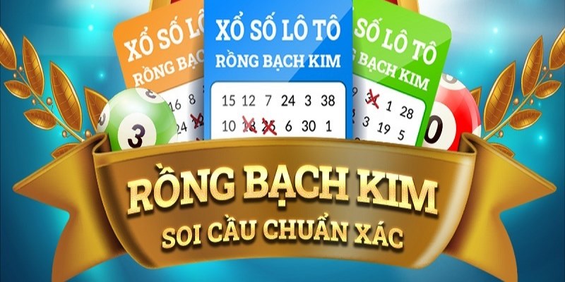 79 king NE Điện Tử