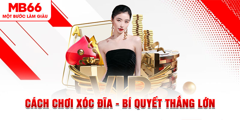 79 king Đĩa màu ace