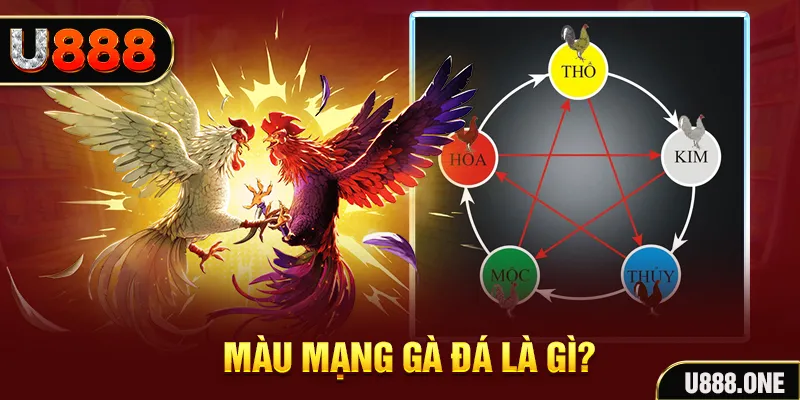79 king V8 Game Bài 3d
