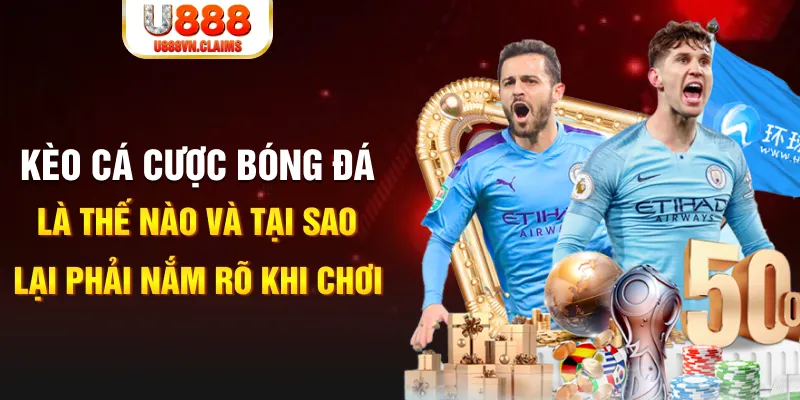 79 king gà chọi c1 mới nhất