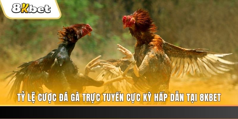 79 king xổ số miền bắc chủ nhật