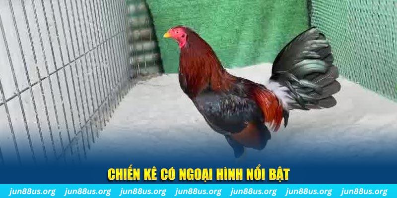 79 king qq88 bắn cá