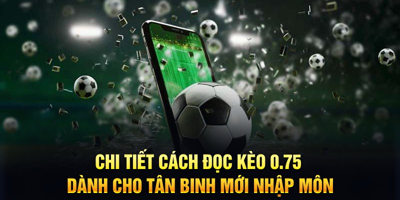 79 king Xì tố