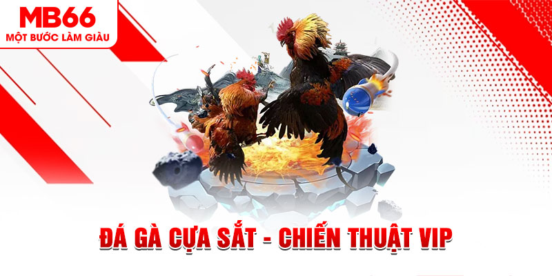 79 king slot out là gì