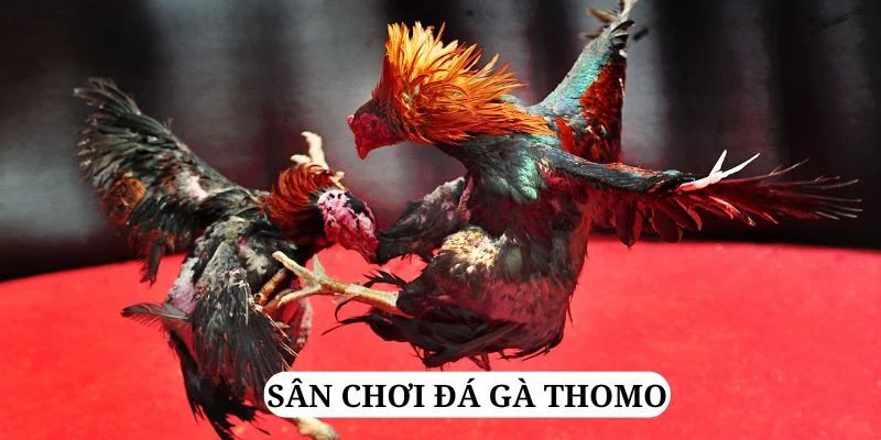 79 king quay nổ hũ là gì