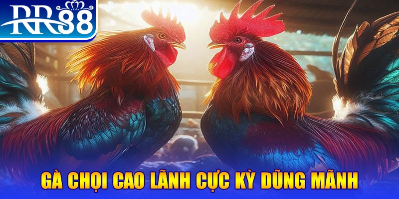 79 king đăng nhập poker live